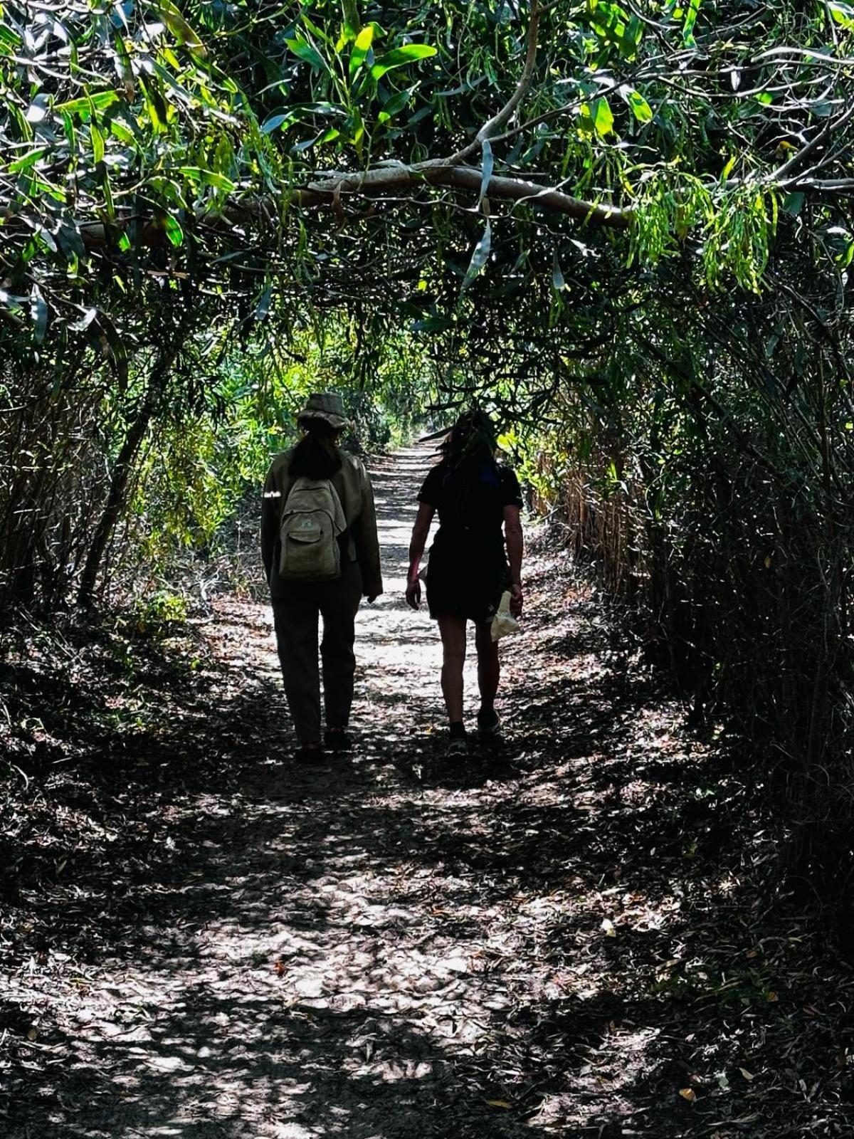 Choeiro Verde - Casa De Campo Na Costa Vicentina Brejao Kültér fotó