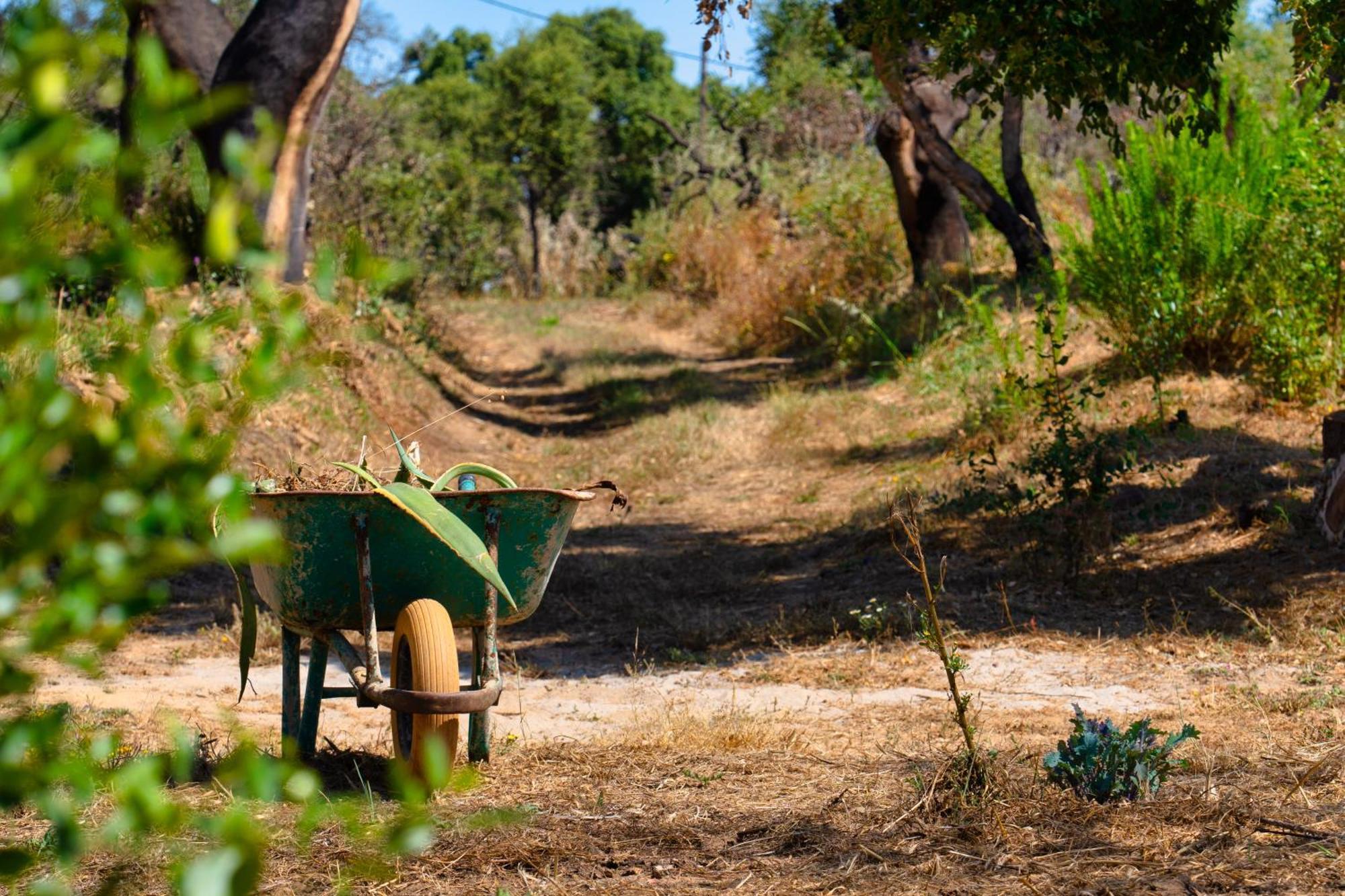 Choeiro Verde - Casa De Campo Na Costa Vicentina Brejao Kültér fotó
