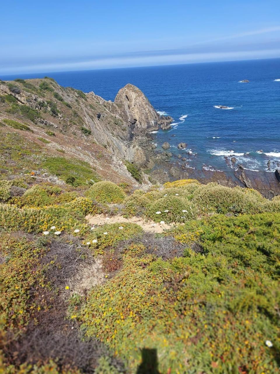Choeiro Verde - Casa De Campo Na Costa Vicentina Brejao Kültér fotó
