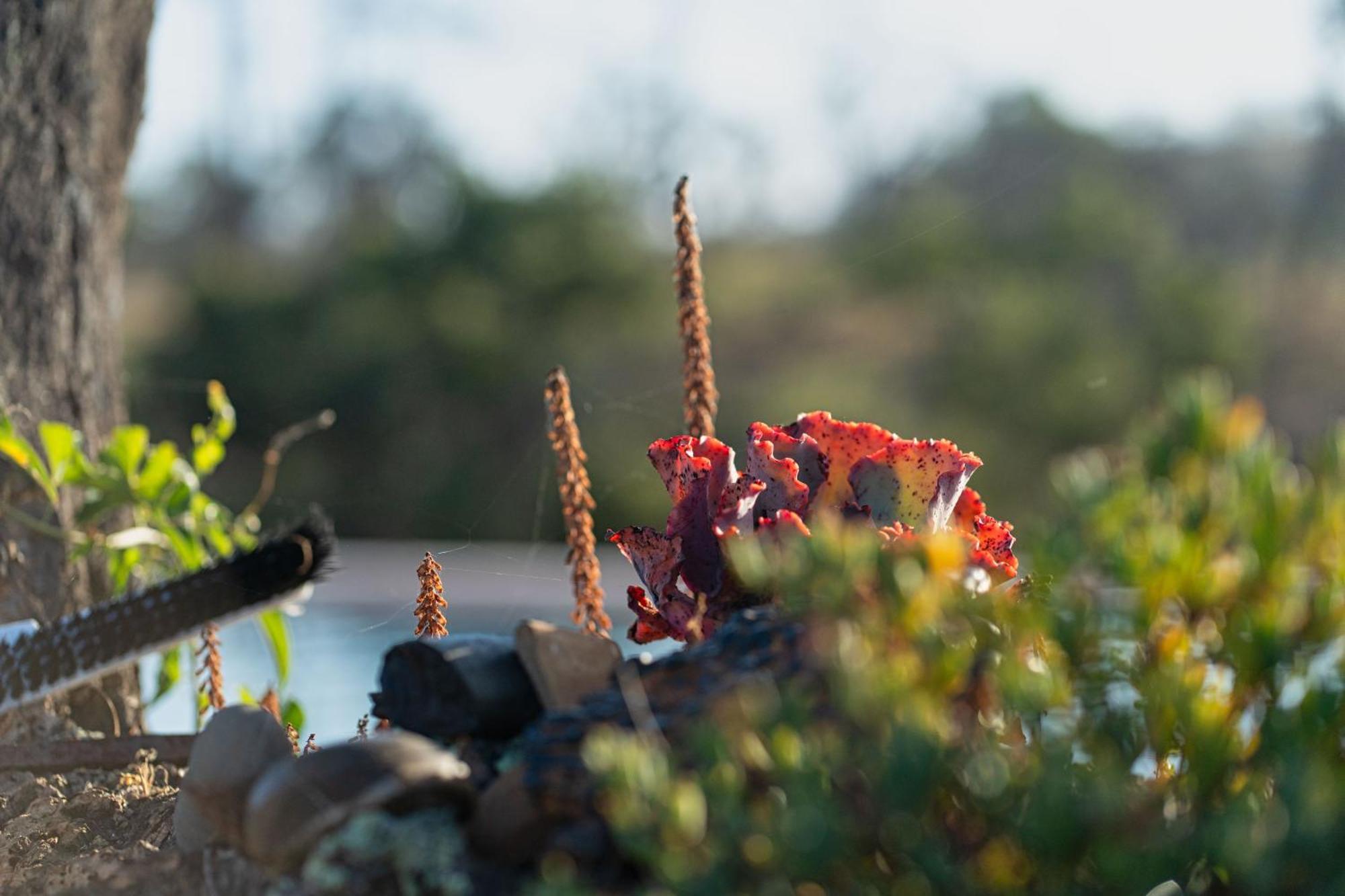 Choeiro Verde - Casa De Campo Na Costa Vicentina Brejao Kültér fotó